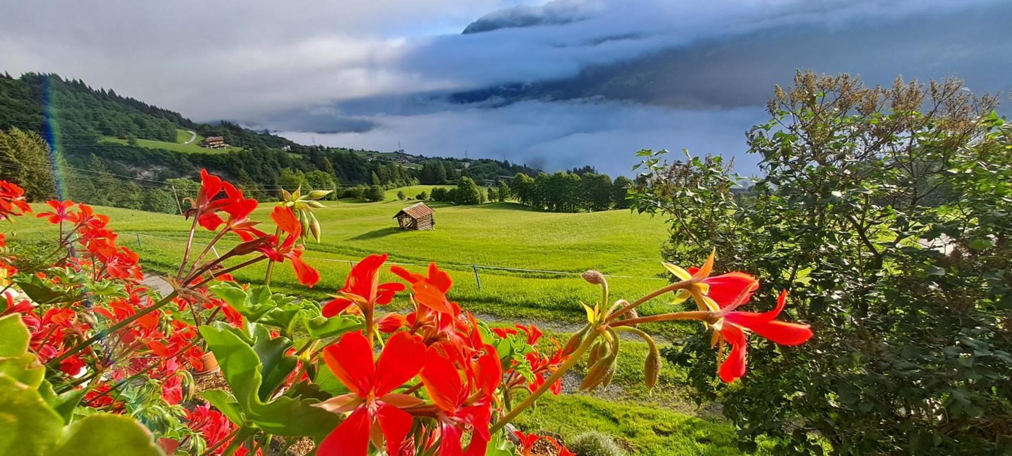 Ferienwohnung Hartlgut Bad Hofgastein Eksteriør bilde